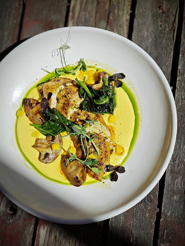 Куриная грудка с кукурузным соусом и шпинатом