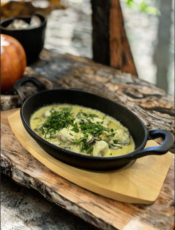 Мидии чкмерули