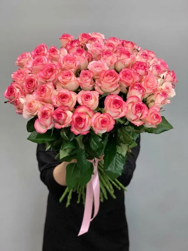 Роза сорта Джумилия 70см 51шт