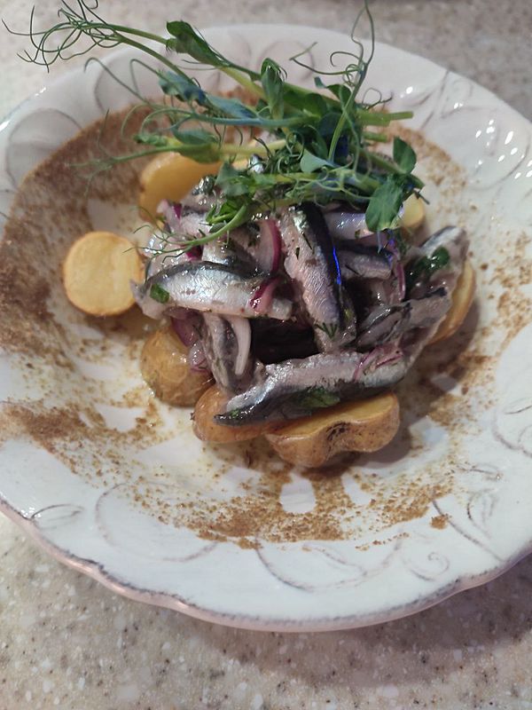 Черноморская Хамса