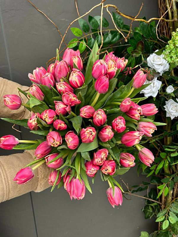 51 пионовидный тюльпан под ленту