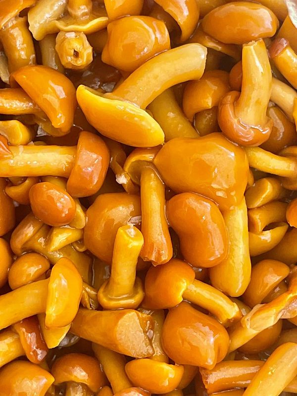 Опята маринованные