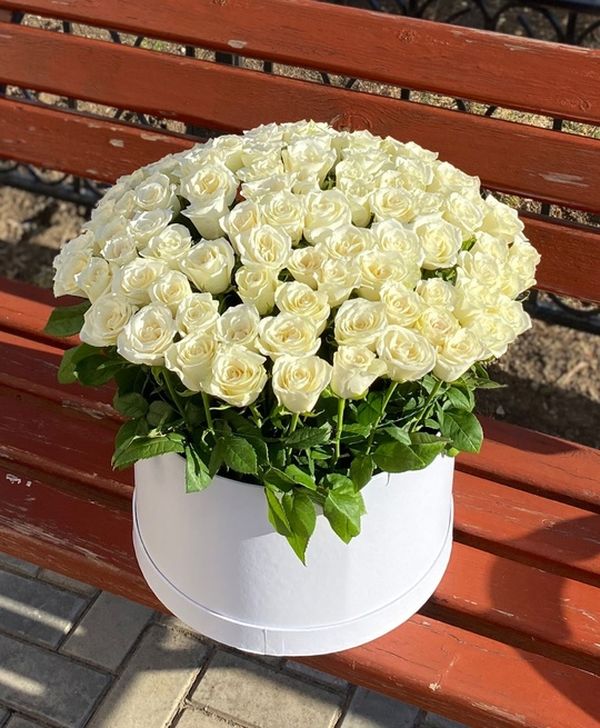 101 роза в коробке белая