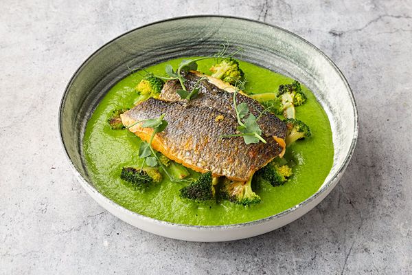 Сибас с базиликовым кремом из брокколи