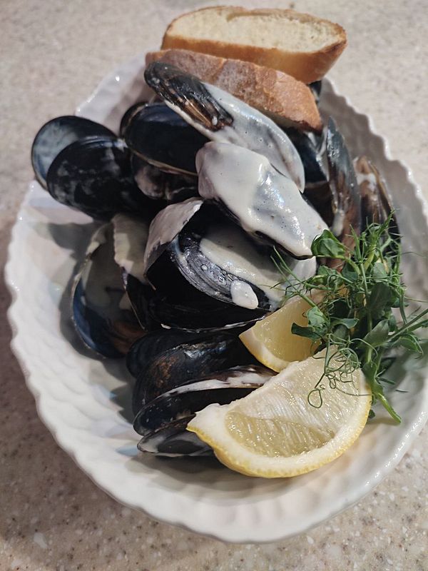 Ракушки Бушо