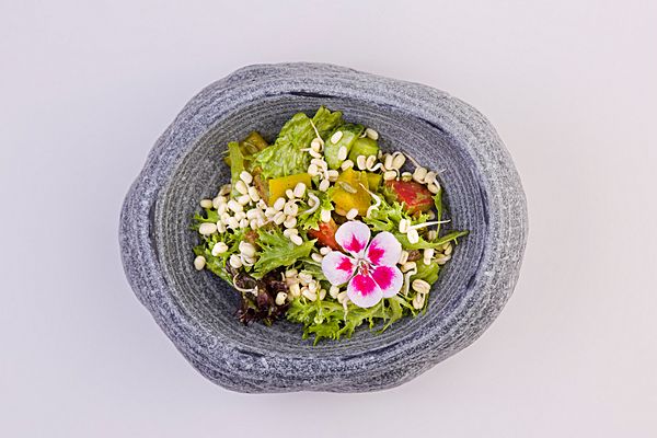 Салат Оранжерея с молодым сыром Белпер