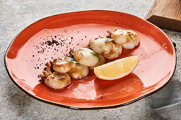 Мини каракатица