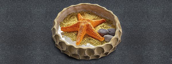 Морская звезда