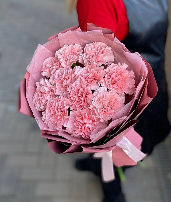 11 диантусов в оформление