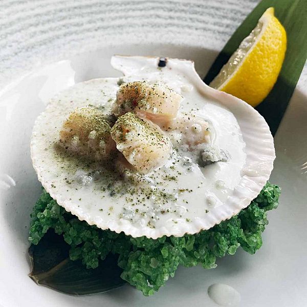 Гребешок запеченный с сыром дор блю