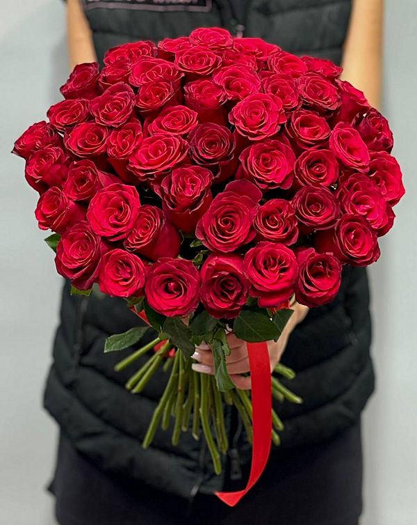 Роза родос 50см 51шт