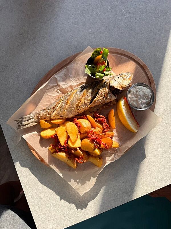 Сибас черноморский (Лаврак)