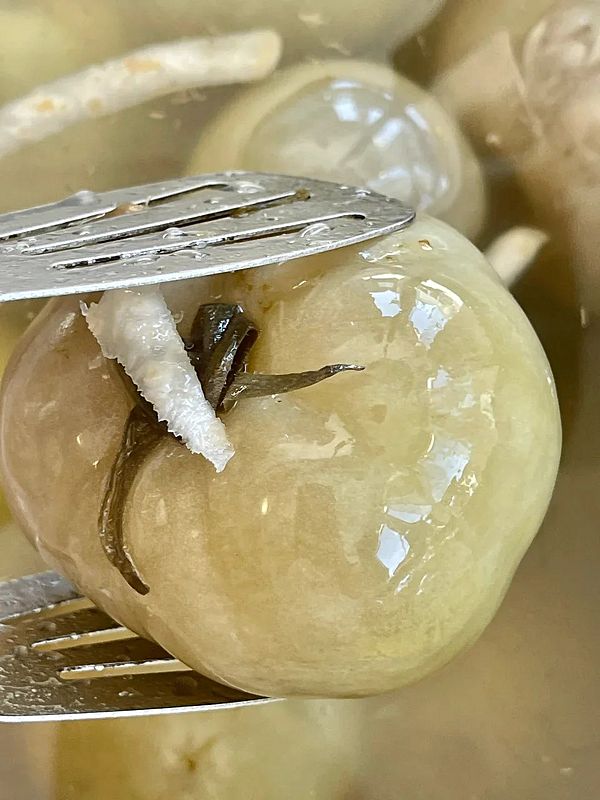 Помидор бочковой зеленый (острые)