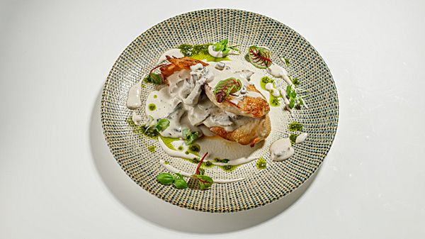 Стейк куриный