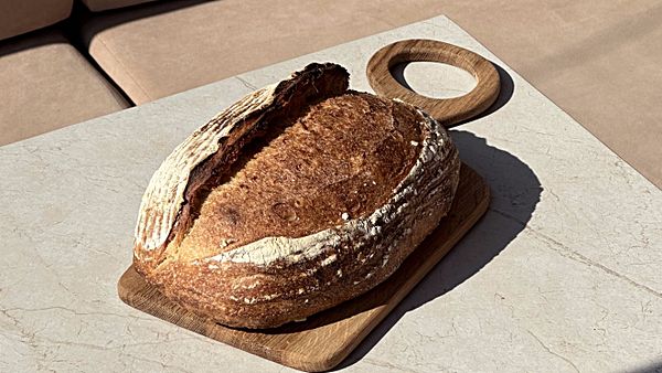 Тартин с семечками