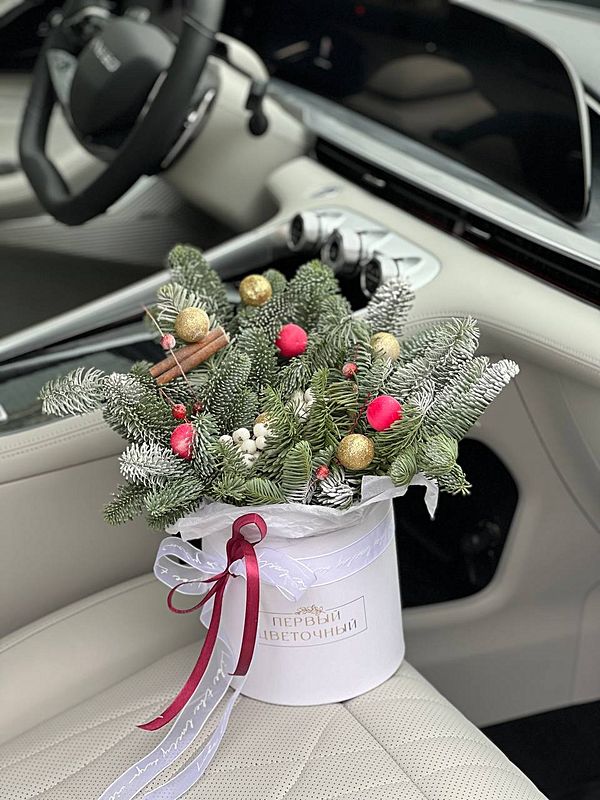 Композиция в круглой коробке с нобилисом