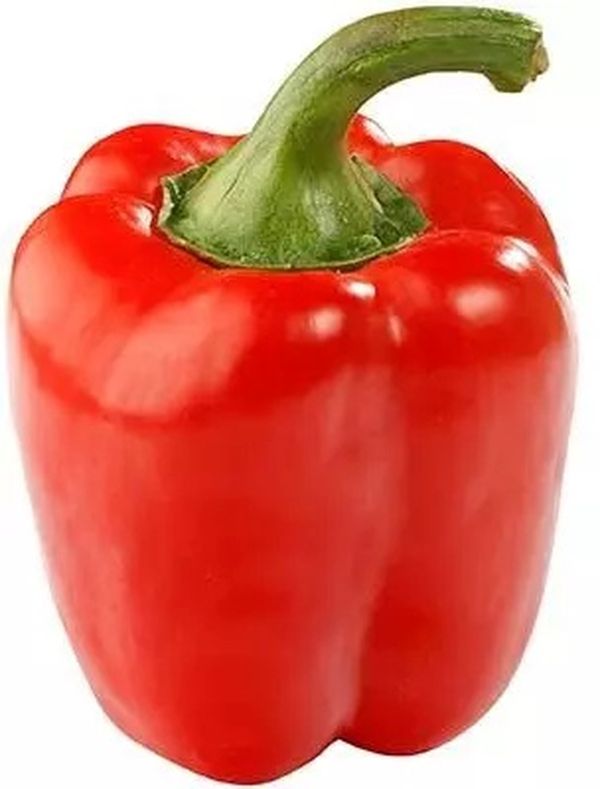 Перец болгарский