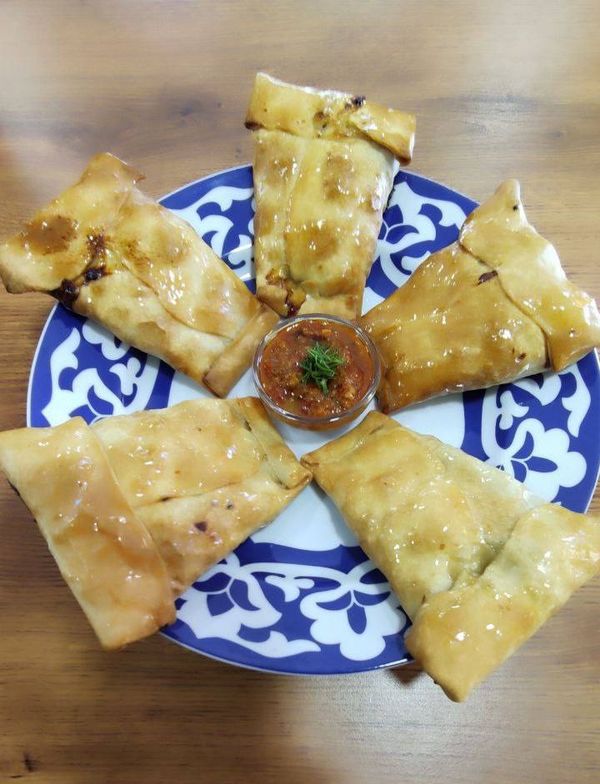 Самса алатская