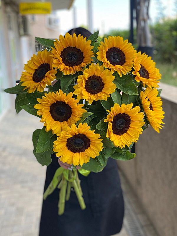 9 подсолнухов в оформлении