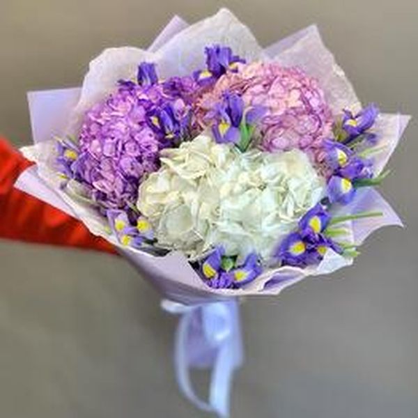 Ирисы и гортензии